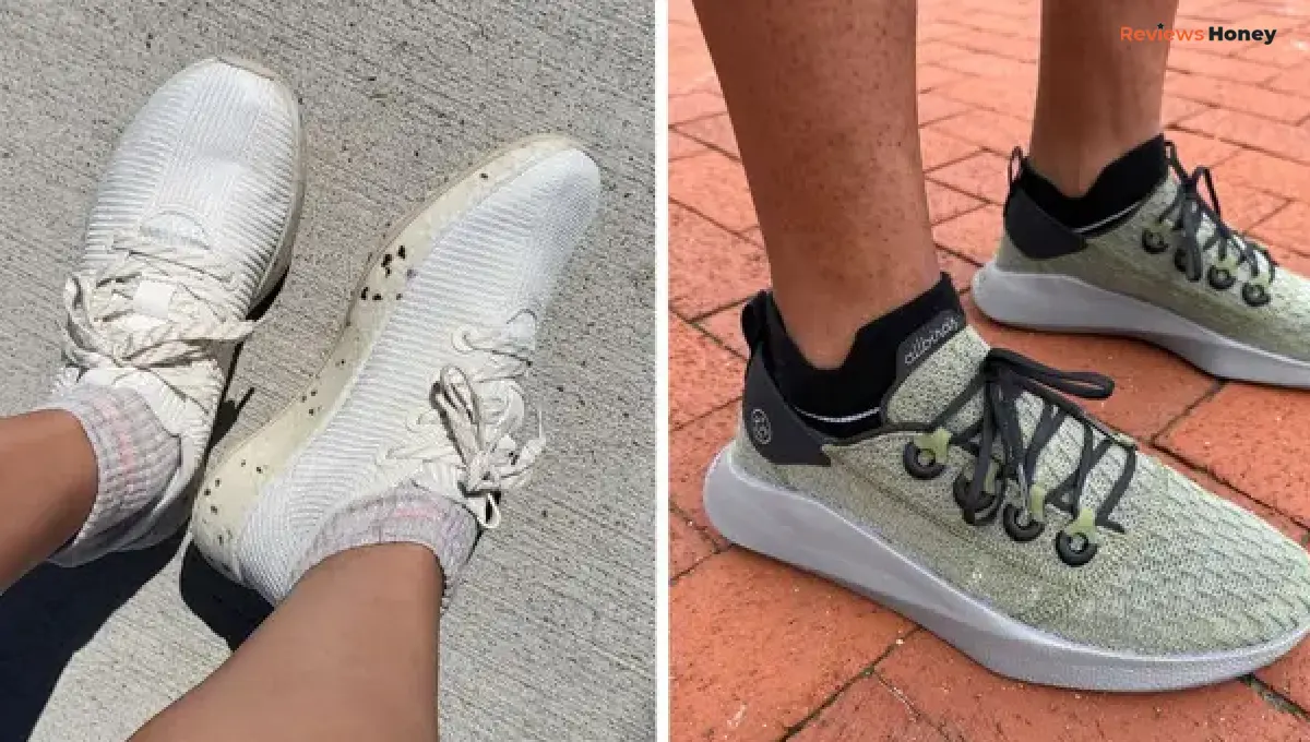 allbirds review